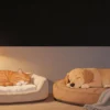 Cloud Orthopedic Bed thumbnail 3